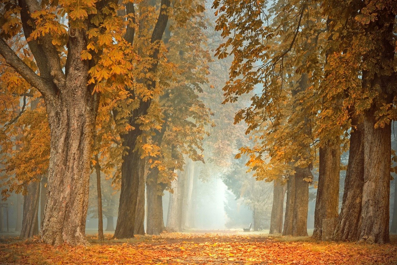 Frühherbstliche Städtereisen nach Izmir